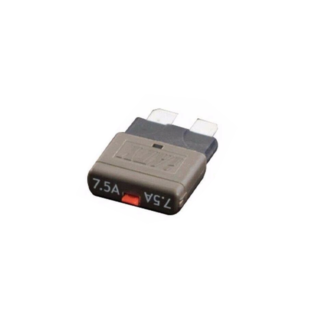 1 Cầu Chì 12V 24V Lưỡi Dao Tiêu Chuẩn Cho Xe Hơi