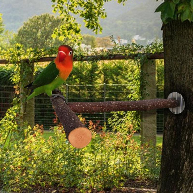 Giá Đỡ Đứng Bằng Gỗ Cho Vẹt Đứng 1