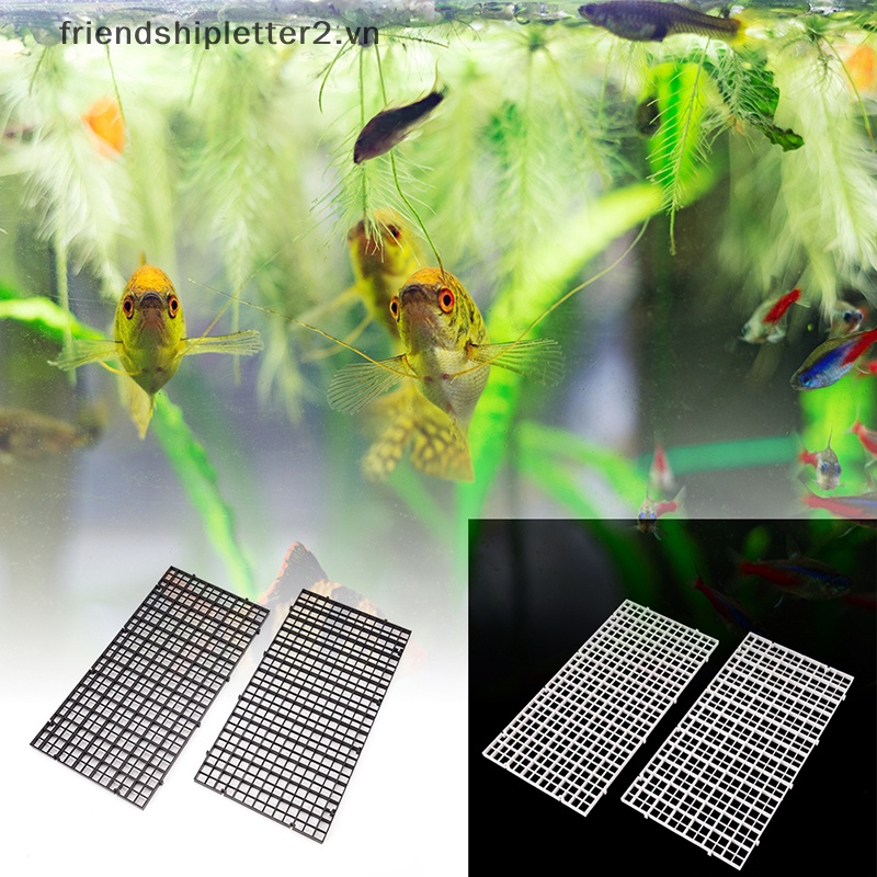 [Mới] Set 2 Khay Chia Ngăn Đựng Trứng Cho Bể Cá