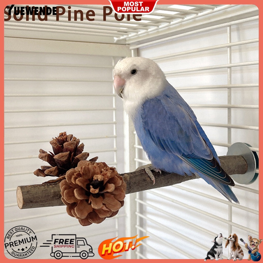 Thanh Đứng Bằng Gỗ Chống Cắn Dành Cho Chim Vẹt Đứng