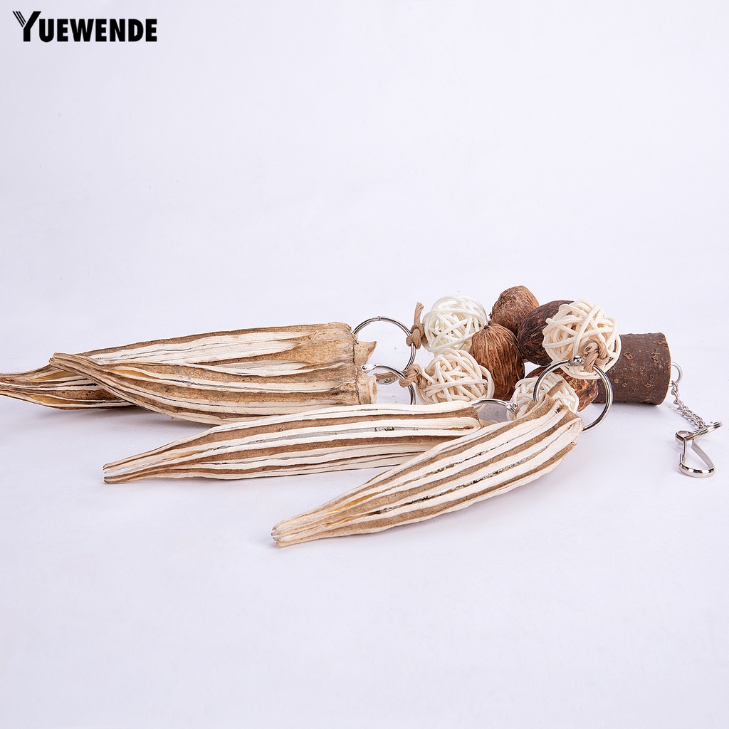 Đồ Chơi Vỏ Dừa Chống Cắn Dành Cho Chim Vẹt