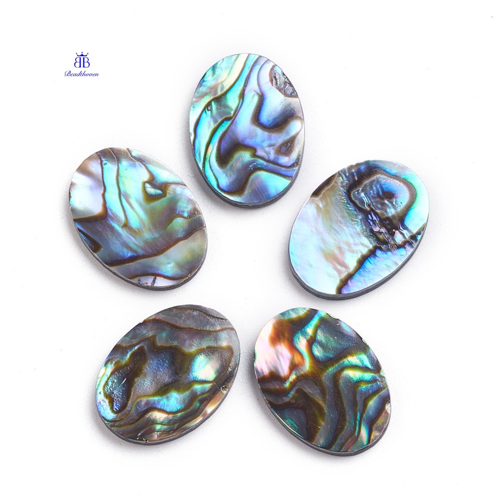 Bộ 2 Vỏ Bát Giác Kích Thước 18x13x2mm