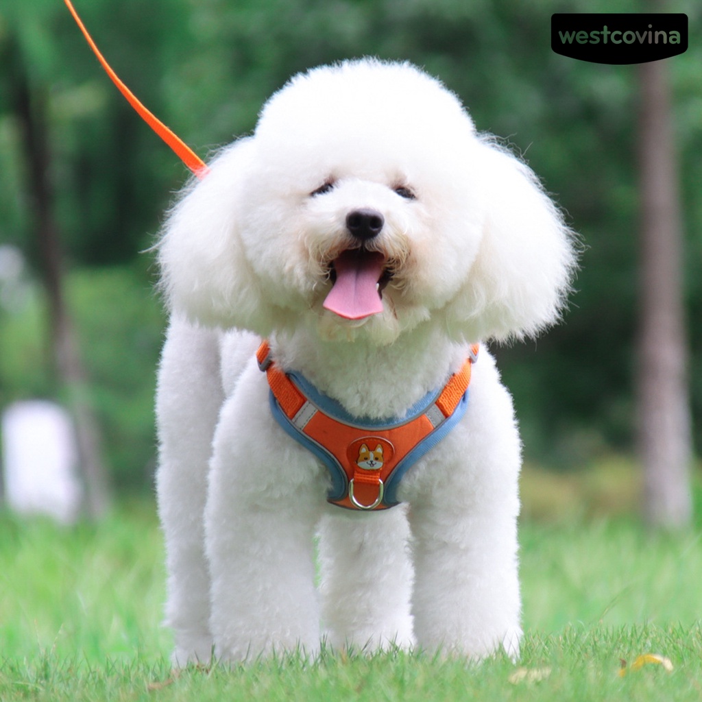 [COD]♞Set 2 Dây Dắt Thú Cưng Đi Dạo Chống Cút Thiết Kế Phản Quang Thoáng Khí