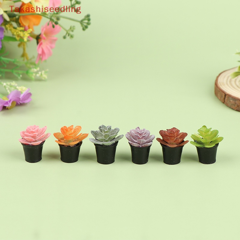 Bộ 6 Chậu Cây Trang Trí Nhà Búp Bê Tỉ Lệ 1: 12