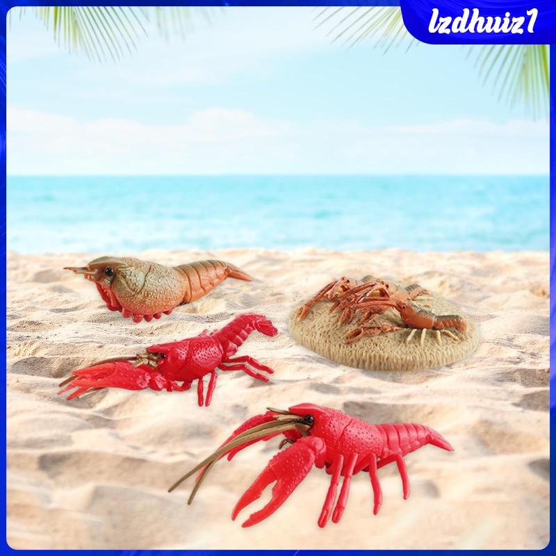 Đồ Chơi Tôm Hùm Biển Cho Bé