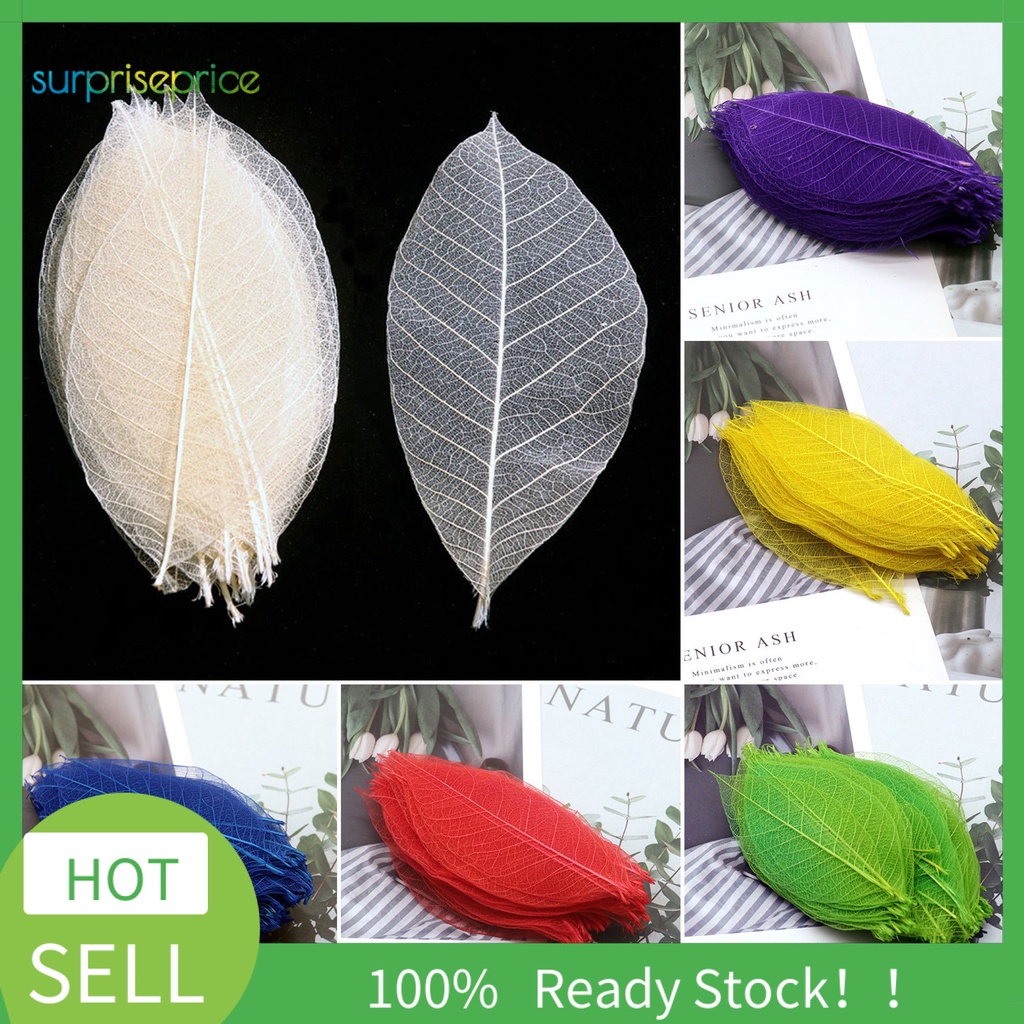 Bộ 100 Chiếc Lá Xương Tự Nhiên Nhiều Màu Sắc Dùng Đánh Dấu Trang Sách Kỉ Niệm