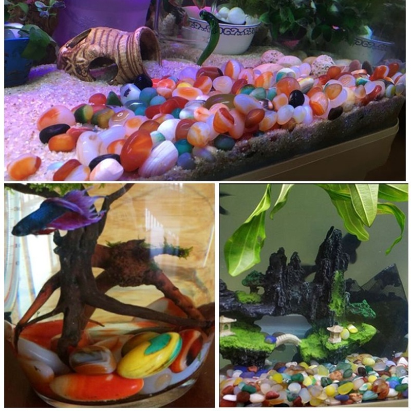 Đá Cuội Phát Quang Trang Trí Bể Cá