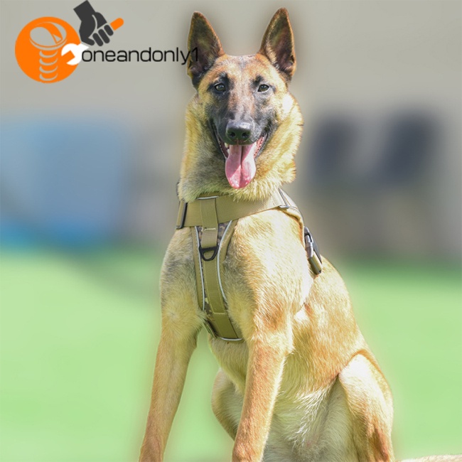 Dây Dắt Thú Cưng Đi Dạo K9 Phản Quang Cỡ Vừa / Lớn Tiện Dụng