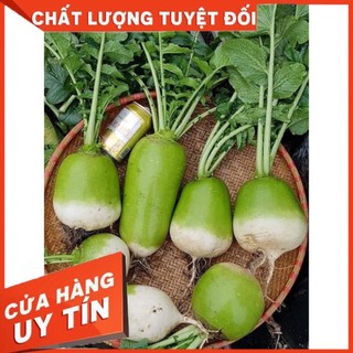 CỦ CẢI HÀN QUỐC SIÊU TO KHỔNG LỒ