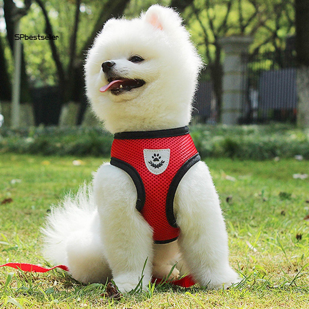 1 Bộ Dây Đai Dắt Thú Cưng Đi Dạo Ngăn Vỡ Có Thể Điều Chỉnh Được