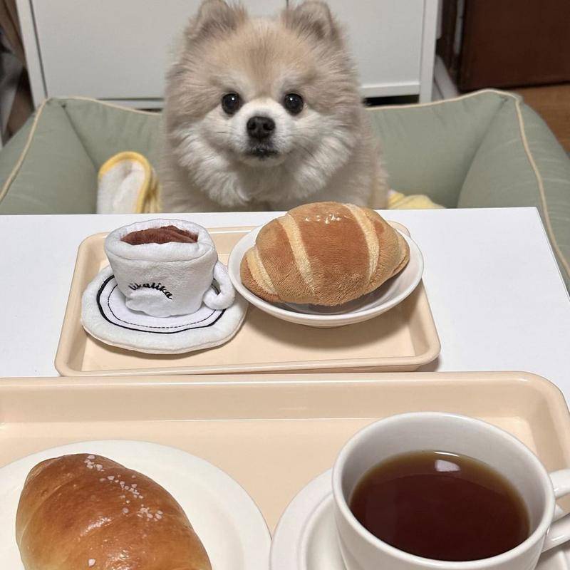 Đồ chơi cho chó squeaker trà chiều cà phê bánh mì kẹp tiếng chó mèo đồ chơi mèo đồ chơi nhai xương gà