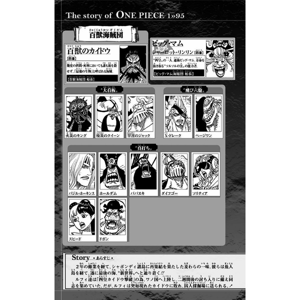 One Piece 95