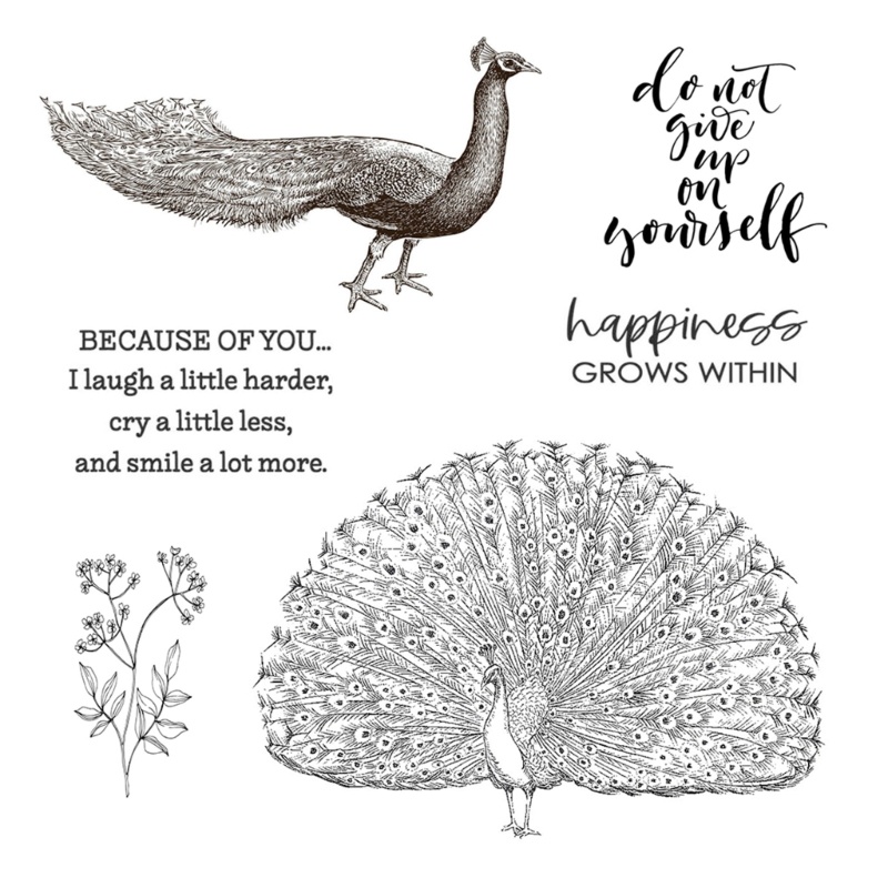 Con Công Bằng Silicone Trong Suốt Dùng Trang Trí Sổ Tay DIY