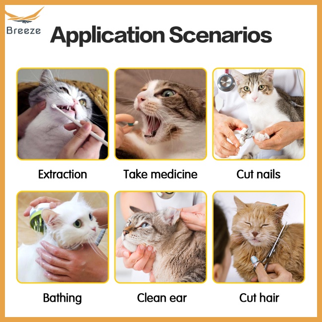 Túi Xách Thú Cưng Cỡ Lớn 5l Hai Lớp Chống Cắn / Trầy Xước Tiện Dụng