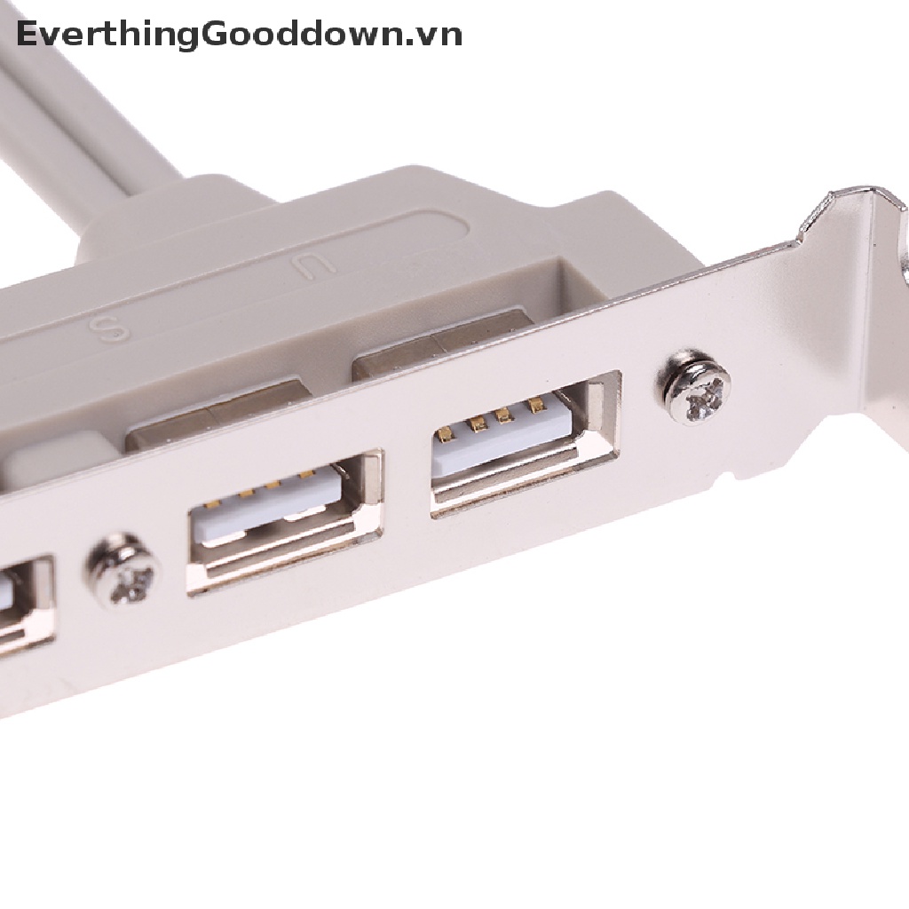 Everthingood Cáp Mở Rộng 4 Cổng USB 2.0 Sang 9 Pin Cho Bảng Điều Khiển PC vn