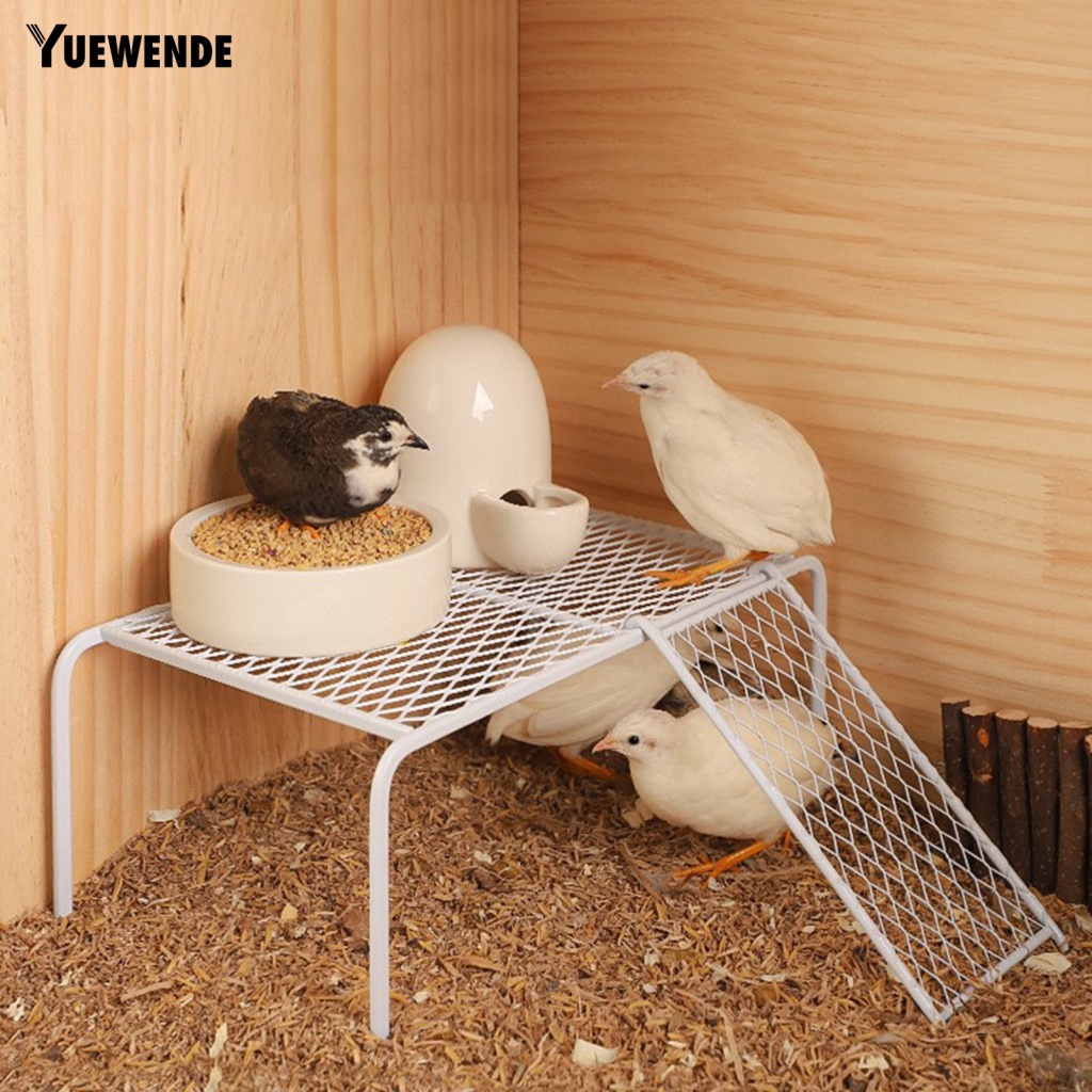 1 Bộ Bệ Lót Chuồng Gà / Leo Trèo Siêu Bền Chắc Chắn Sturdy