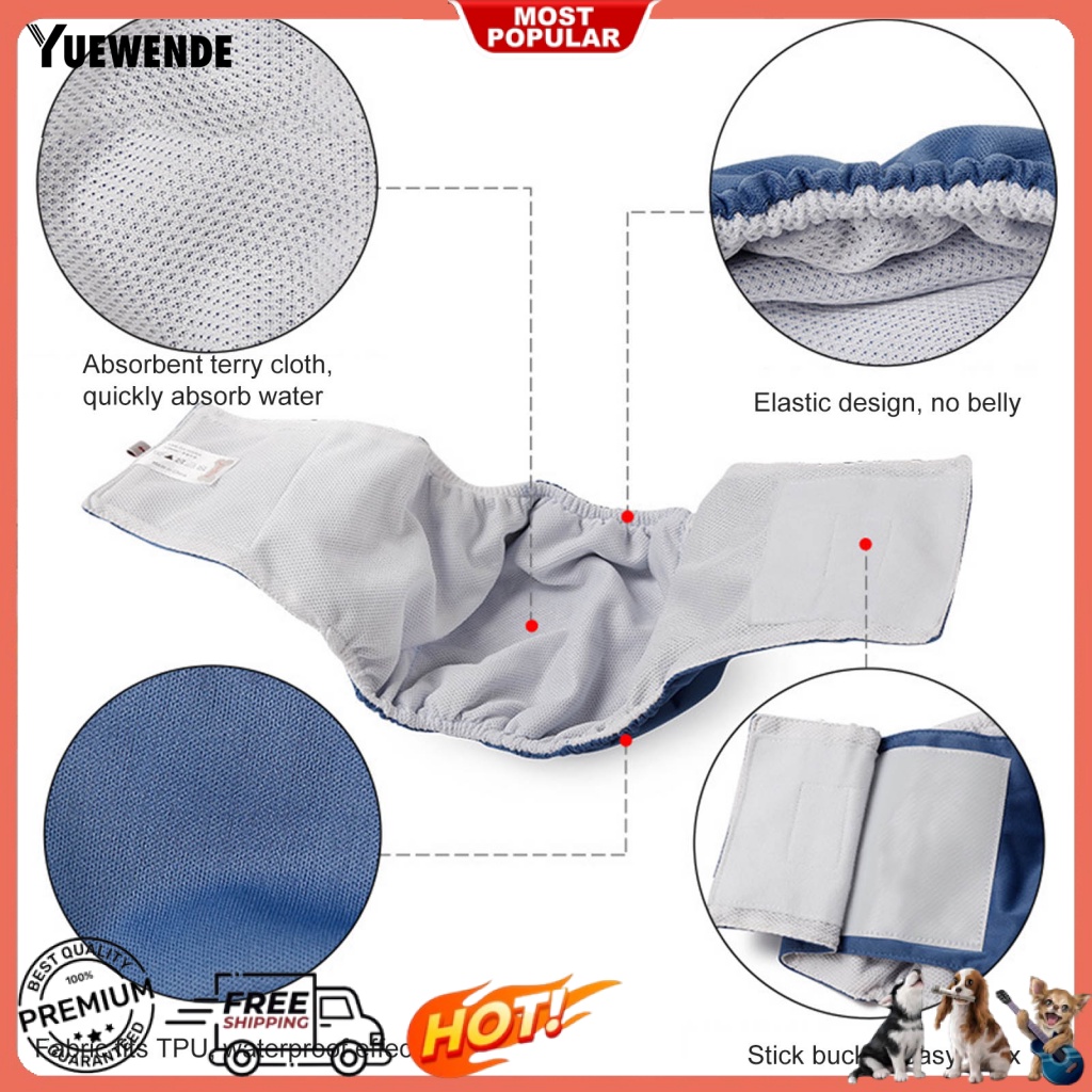 Quần An Toàn Thoáng Khí Dễ Mặc Dành Cho Thú Cưng