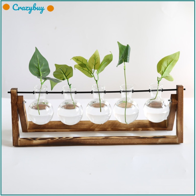 Cr Lọ Hoa Thủy Tinh Trong Suốt Với 5 Lọ Gỗ Sáng Tạo Để Bàn Trang Trí Nhà Cửa