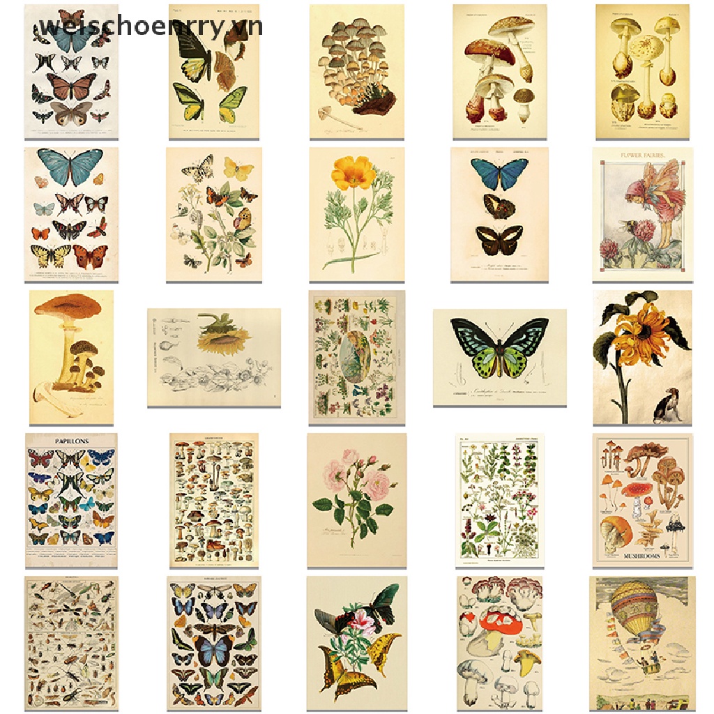 Set 50 Nhãn Dán Graffiti Hình Hoa Bướm Trang Trí Đa Ứng Dụng