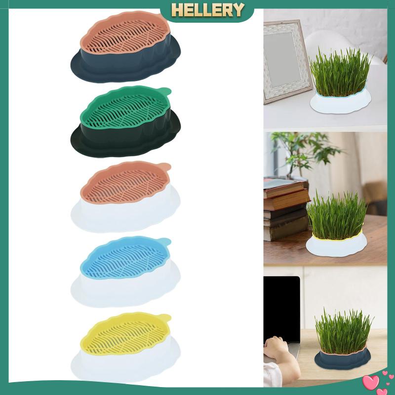 Khay Cỏ Mèo Có Lỗ Thoát Nước Tiện Dụng Cho Sân Vườn