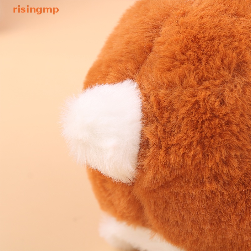 1 Chú Thỏ Bông Biết Nhảy Ngộ Nghĩnh Đáng Yêu