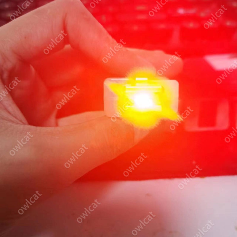 Kamen Rider W Series Eternal Gaia Memory  Masked Rider Henshin Item Cos Cosplay Stage Property Package with Box