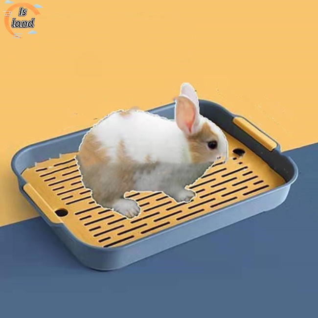 Hộp Đi Vệ Sinh Chống Xoắn Ốc Huấn Luyện Thú Cưng Thỏ Chinchilla Guinea