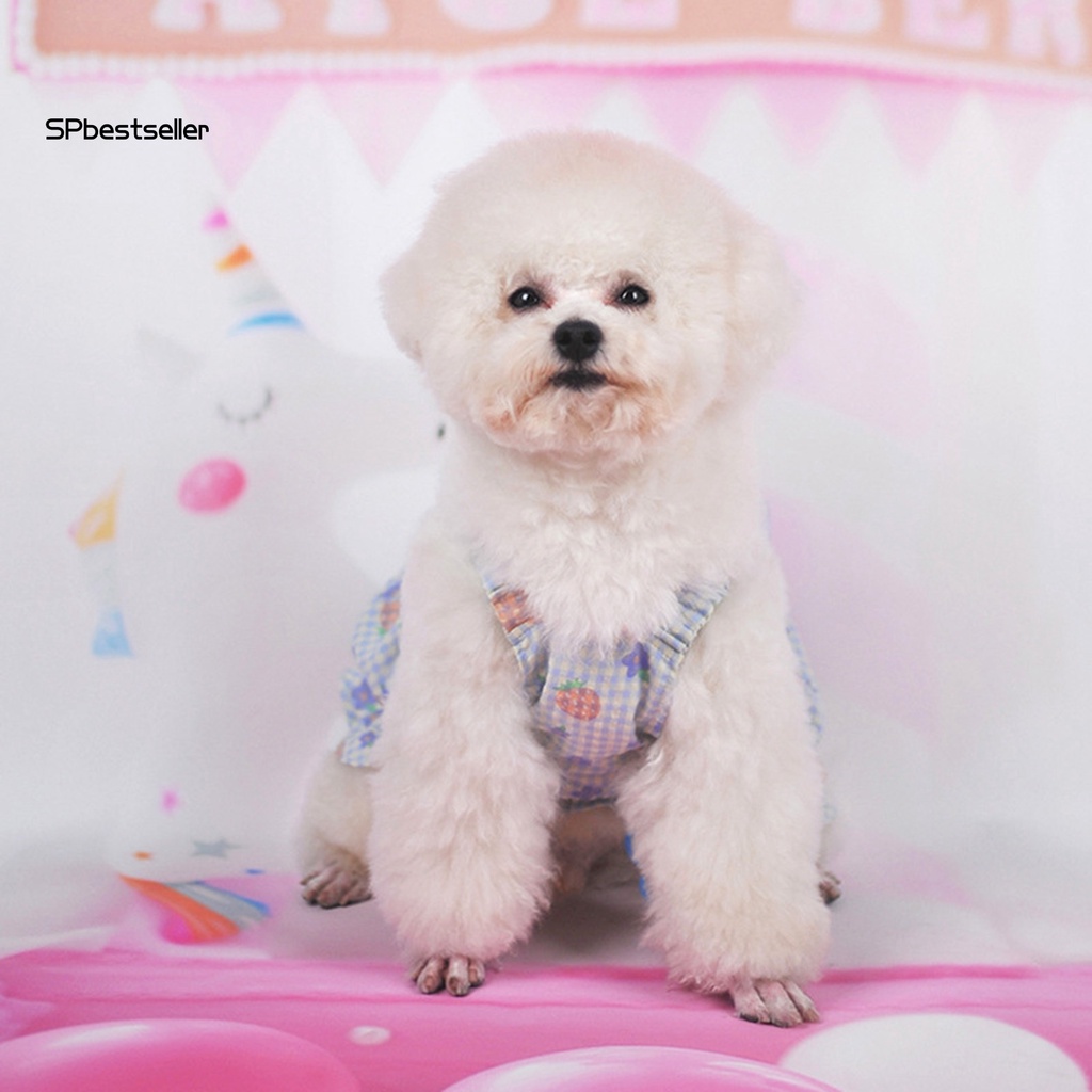 Đầm In Họa Tiết Công Chúa Thời Trang Mùa Hè Xinh Xắn Cho Cún Cưng