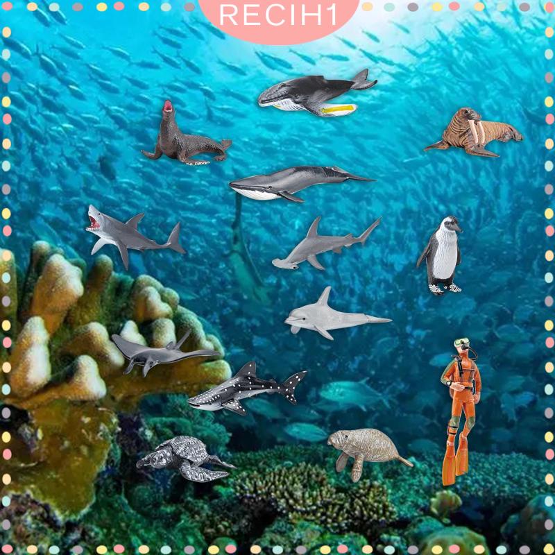 Set 13 Mô Hình Động Vật Dưới Biển Cho Bể Cá 5 6 7 8 Tuổi