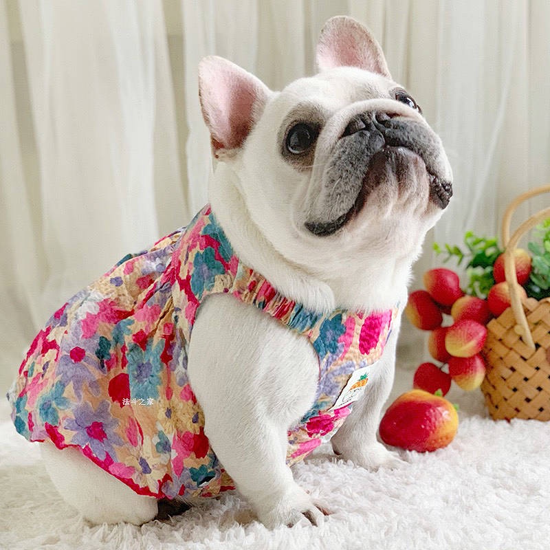 French Bulldog Clothes Thin Summer Vest French Bucket Skirt Suspender Skirt Pumpkin Skirt Fat Dog Short Body Bulldog Pet Skirt 4tPK
