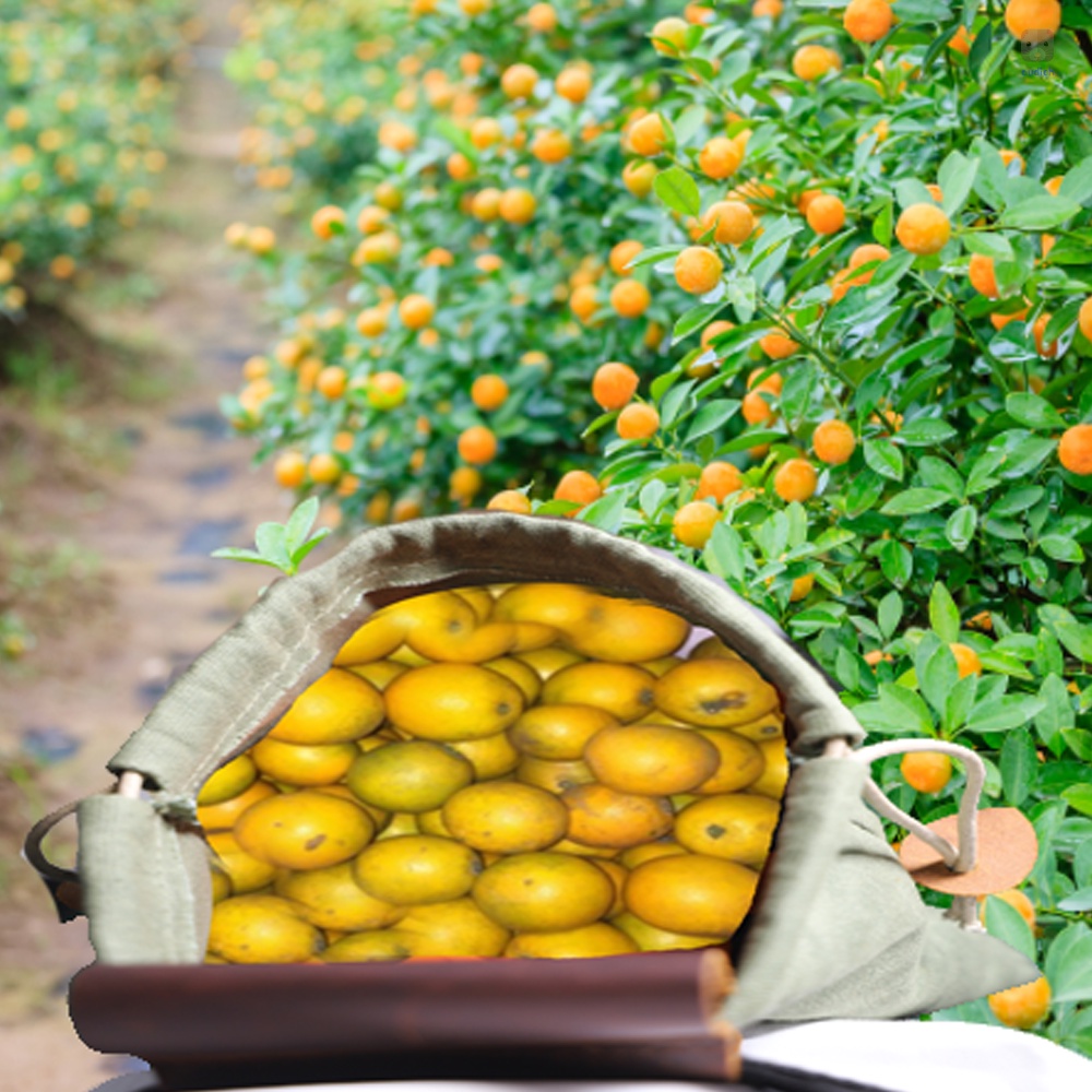 Túi Canvas Đeo Hông Đựng Dụng Cụ Ăn Uống Tiện Lợi