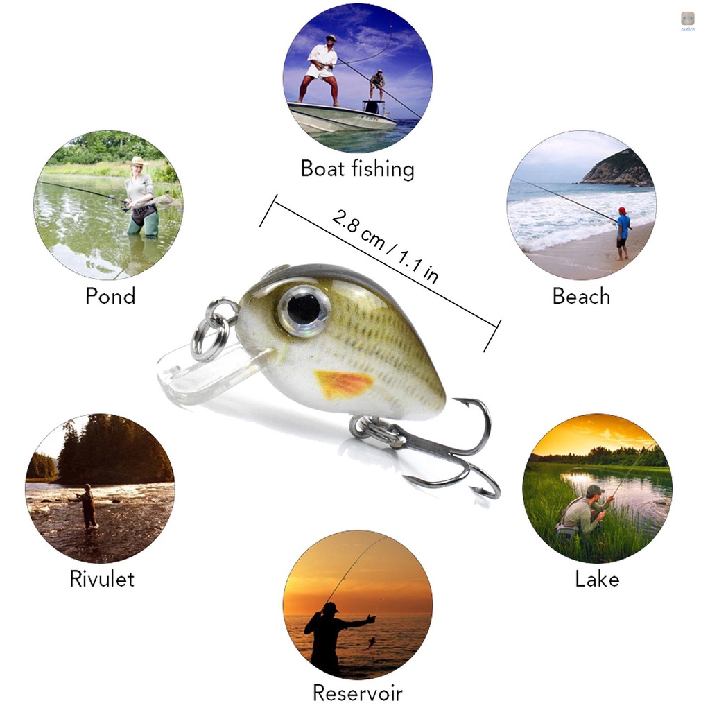 Mồi Giả Câu Cá 3D Bằng Nhựa Cứng 1.1 in / 0.06 oz