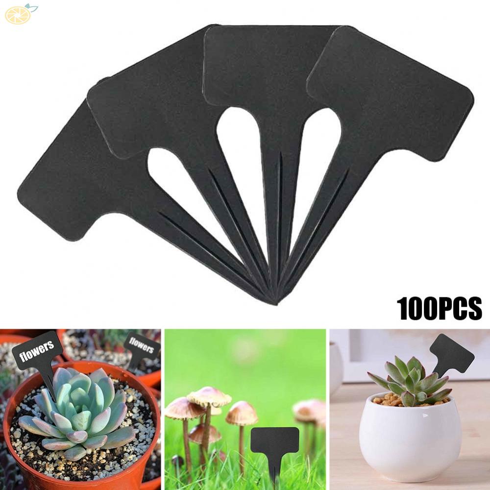【VARSTR】Keep Your Plants Sorted and Beautiful with 100 Durable and Waterproof Garden Labels