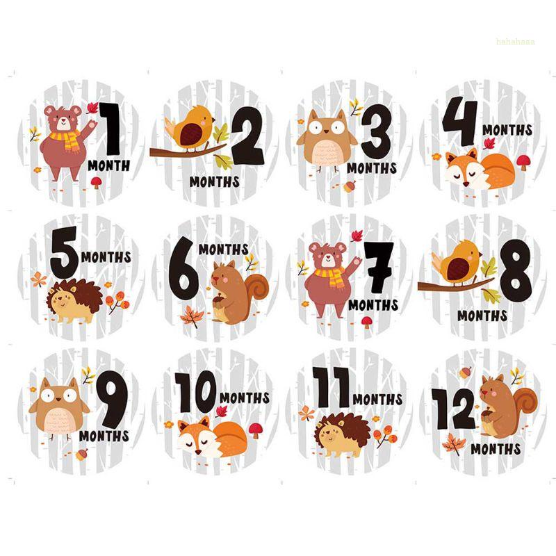 Sticker Đánh Dấu Cột Mốc Phát Triển Theo Tháng Cho Mẹ Bầu Và Bé Sơ Sinh 1-12 Tháng Tuổi