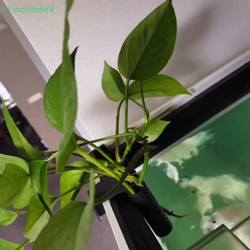 Giỏ Trồng Cây Trang Trí Bể Cá Có Tích Hợp Tích Hợp Tiện Lợi