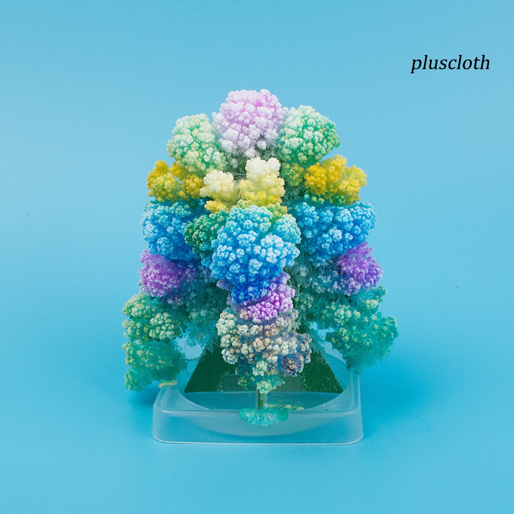 Cây Thông Giáng Sinh Ma Thuật Bằng Giấy Nở DIY Trang Trí Bàn Làm Việc Cho Bé