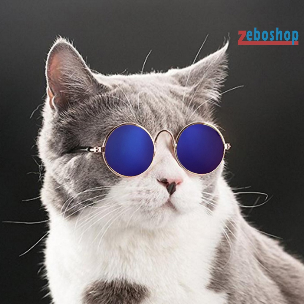 Zeboshop Kính Mát Gọng Mini AC Trong Suốt Thời Trang Cho Thú Cưng Chụp Ảnh