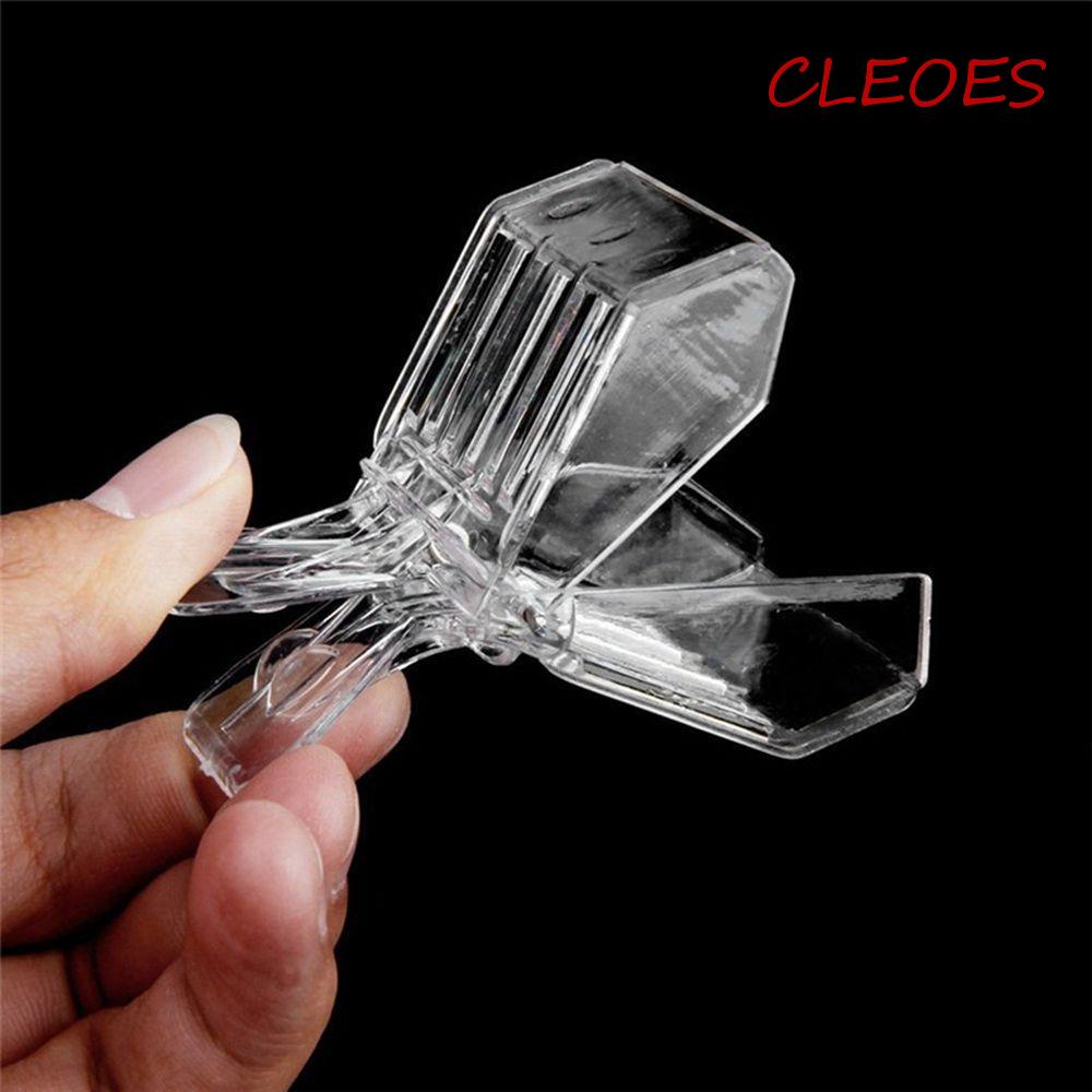 Dụng Cụ Kẹp Nhựa Trong Suốt Chuyên Dụng Cho Nuôi Ong