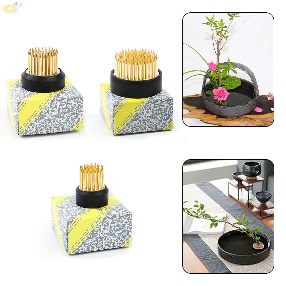 【VARSTR】Round for Ikebana Kenzan Flower Base Holder Spiky Frog Fixed Tool Floral Arrange