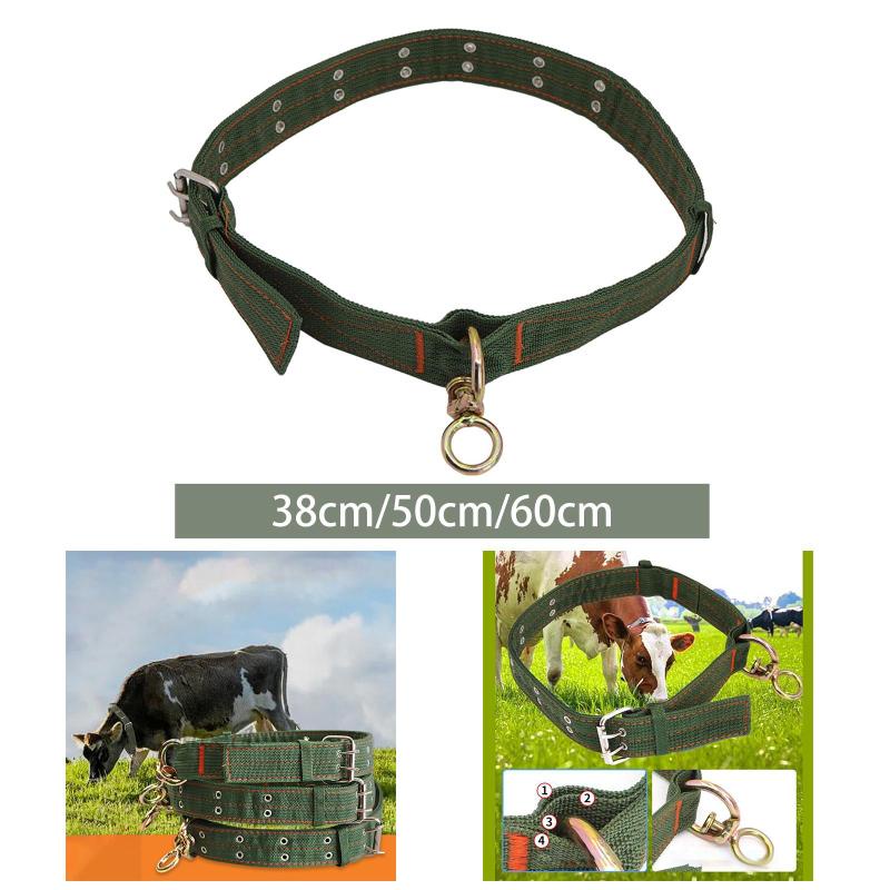 Vòng Cổ Cừu 2 Hàng Khóa Kim Loại Cho Lạc Đà Alpaca 1