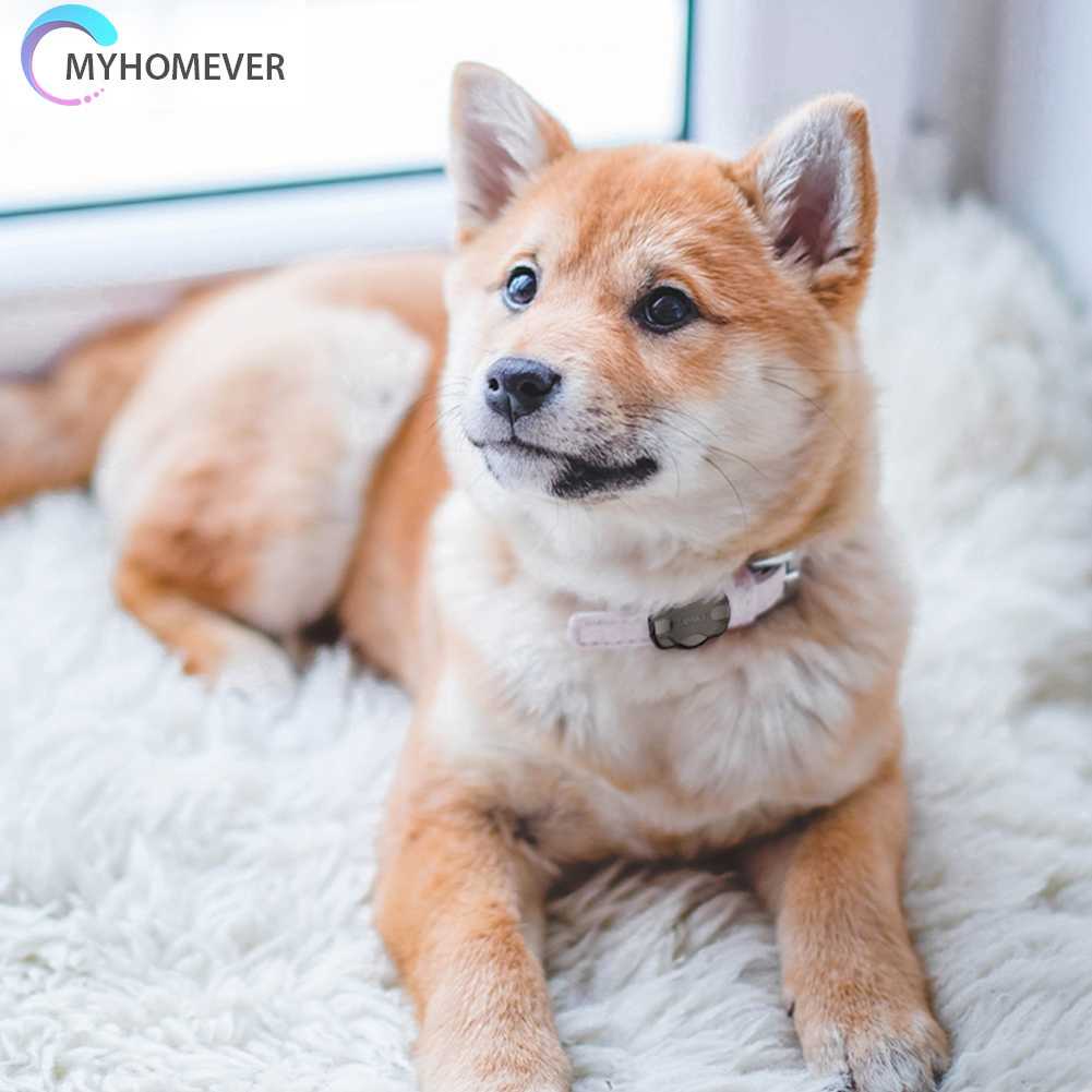 Hộp Đựng Theo Dõi Thú Cưng Chống Thất Lạc Chống Bụi Tiện Dụng