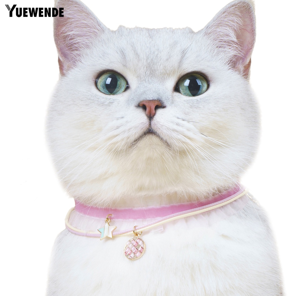 Bộ 2 Vòng Cổ Bằng Hợp Kim Chống Mài Mòn Dùng Chụp Ảnh Cho Thú Cưng