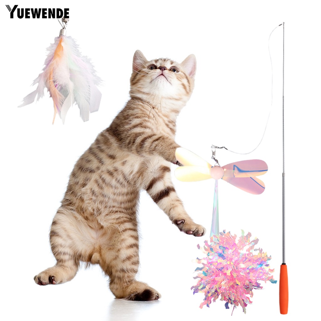 Set 6 Gậy Đồ Chơi Nhiều Màu Sắc Huấn Luyện Mèo Cưng