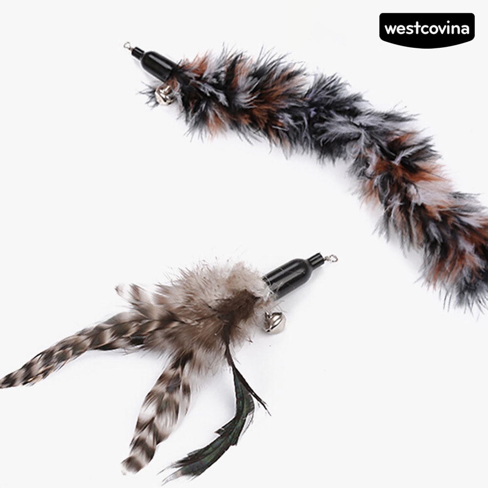 [COD]♞Set 6 Gậy Lông Vũ 3 Khúc Có Thể Thu Gọn Thay Thế Cho Mèo Cưng