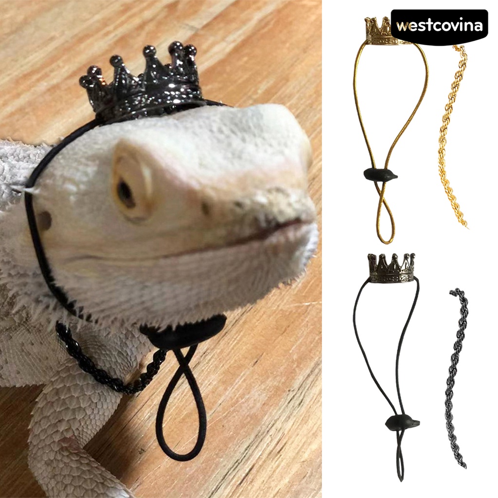 [COD]♞1 Set Tượng Thằn Lằn Mini Bằng Hợp Kim Dễ Thương Thoải Mái Có Khóa Điều Chỉnh Được