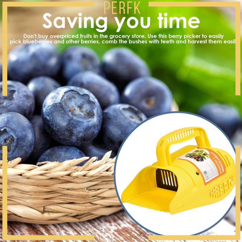 Dụng Cụ Gieo Hạt Việt Quất Tiện Dụng Cho Nhà Bếp