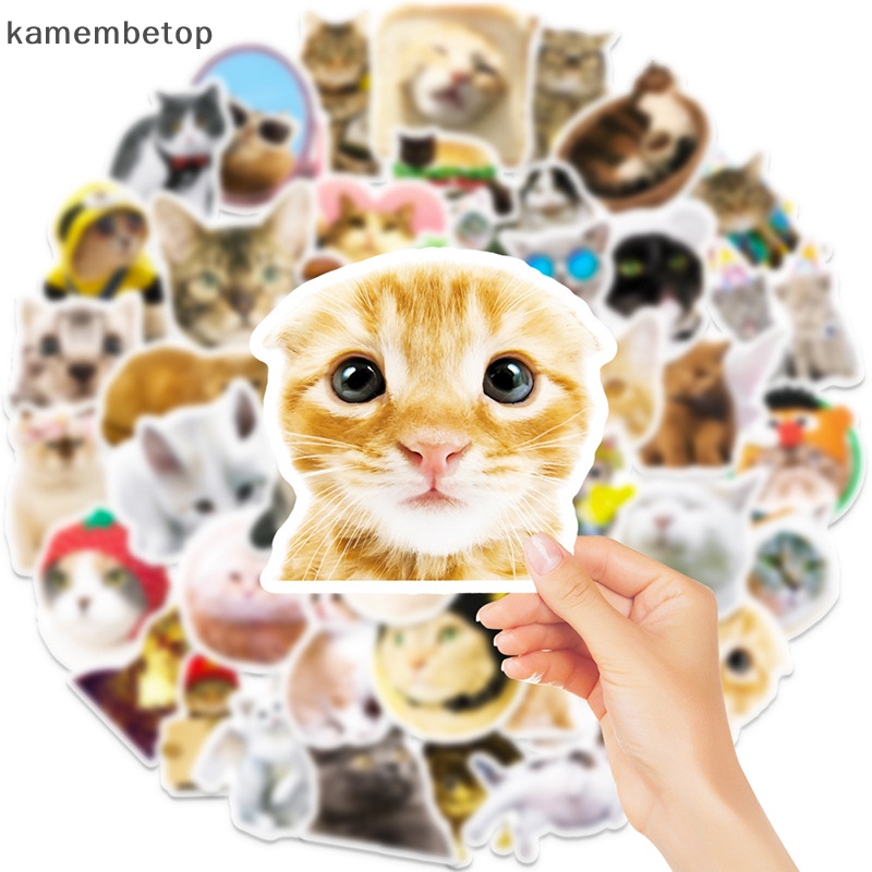 Bộ 50 Sticker Dán Trang Trí Hình Mèo Phong Cách Vintage