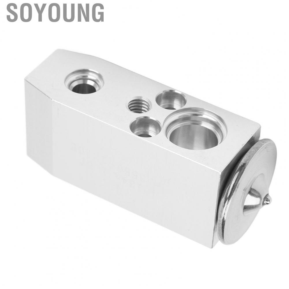 Soyoung 3411868  Reliable Lightweight High Efficiency AC Expansion Valve Front for Cars