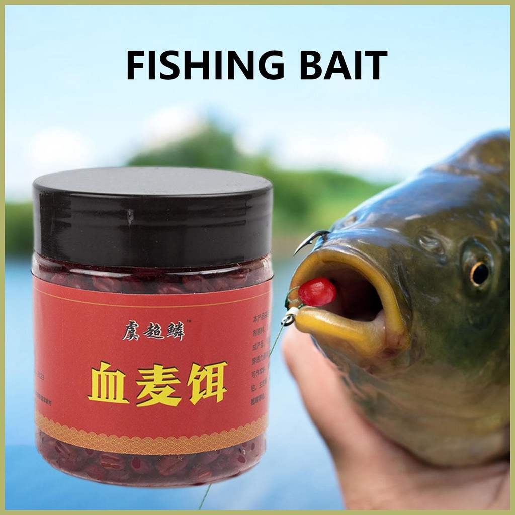 Hộp Lúa Mạch Nhiên Liệu Cho Cá Chép Catfish Trout Cod Bass Bền Dễ Sử Dụng