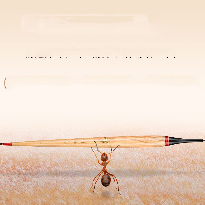 Phao cỏ lau chuyên câu cá rô ngày đêm tăm to phao Tiểu Phượng Hoàng RDL  AnhKhoaFishing